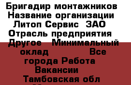 Бригадир монтажников › Название организации ­ Литоп-Сервис, ЗАО › Отрасль предприятия ­ Другое › Минимальный оклад ­ 23 000 - Все города Работа » Вакансии   . Тамбовская обл.,Моршанск г.